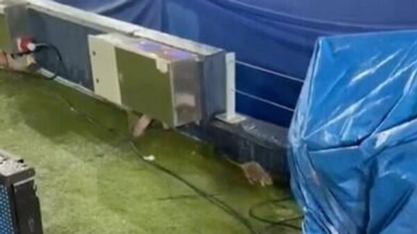  - سبوتنيك عربي