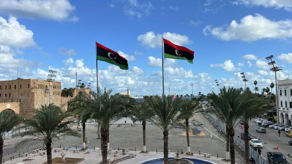  - سبوتنيك عربي