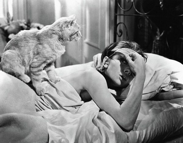 لقطة من فيلم "الإفطار عند تيفاني" (1961). تظهر قطة في الإطار - سبوتنيك عربي