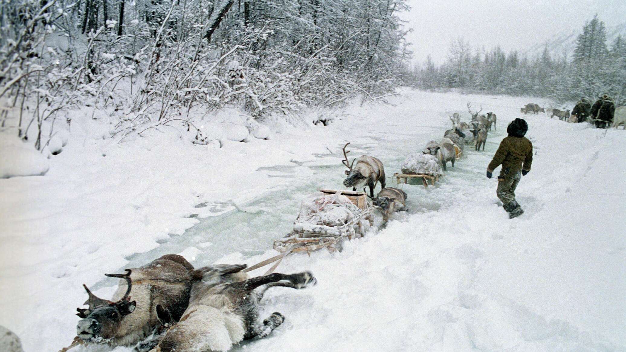 البرد القارس يقتل 50 شخصا في بولندا منذ بداية الشتاء