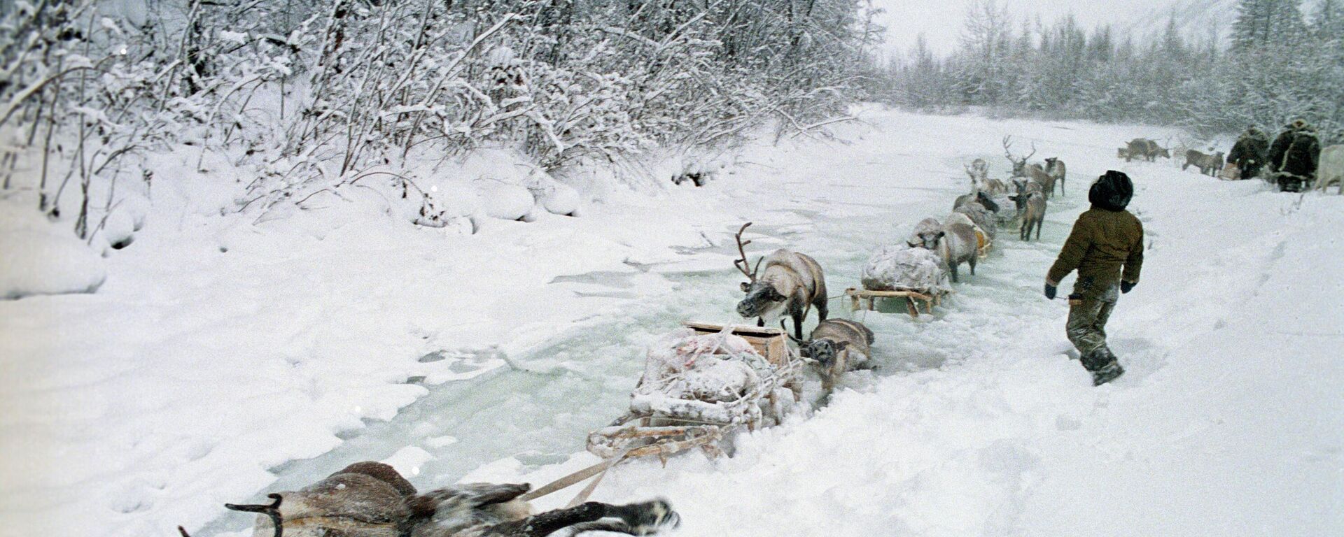 جمهورية ياقوتيا الروسية في سيبريا - سبوتنيك عربي, 1920, 01.02.2026