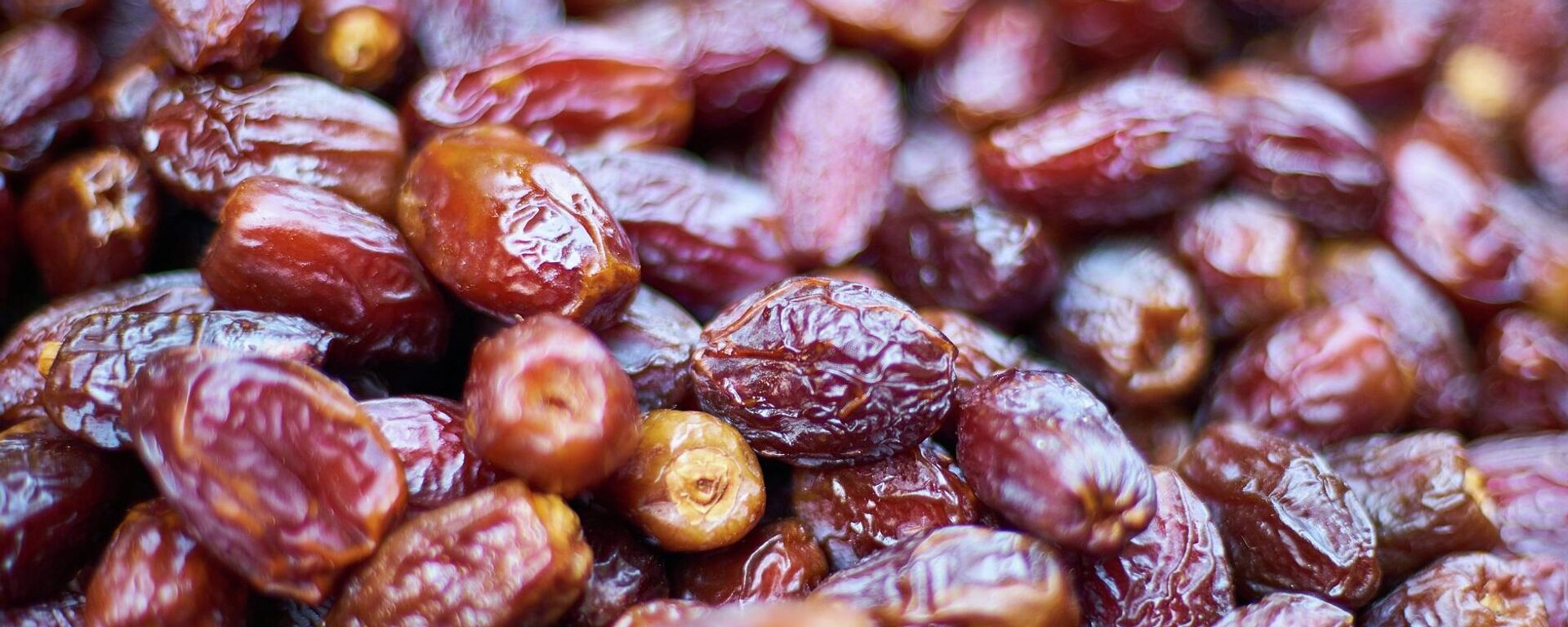 تمور - سبوتنيك عربي, 1920, 02.02.2026