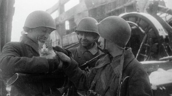 6	صور لجنود خلال معركة ستالينغراد. - سبوتنيك عربي