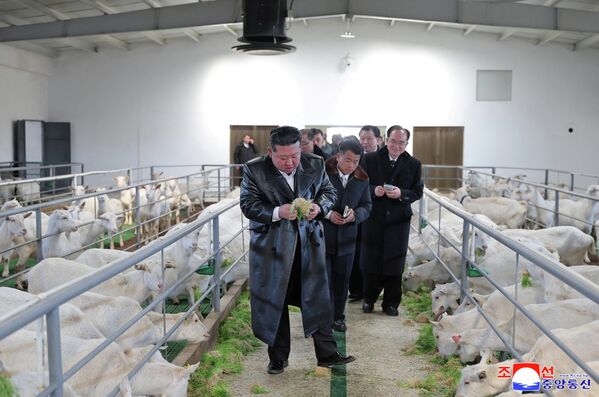 الزعيم الكوري الشمالي كيم جونغ أون، يحضر افتتاح مزرعة لتربية الماشية في مقاطعة بيونغان الشمالية، كوريا الشمالية. - سبوتنيك عربي