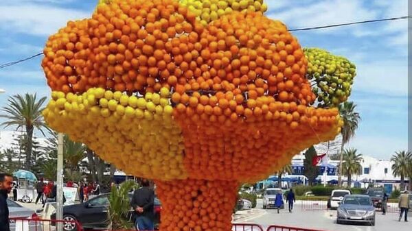  - سبوتنيك عربي