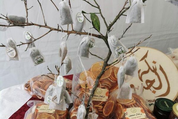 مهرجان القوارص بتونس.. مساحة جماعية للفرح والاحتفاء بالموروث الزراعي - سبوتنيك عربي