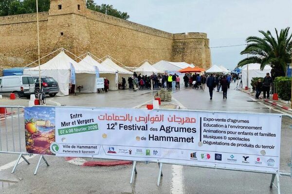 مهرجان القوارص بتونس.. مساحة جماعية للفرح والاحتفاء بالموروث الزراعي - سبوتنيك عربي