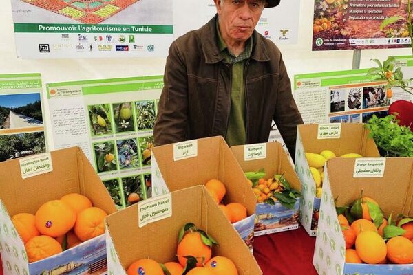 مهرجان القوارص بتونس.. مساحة جماعية للفرح والاحتفاء بالموروث الزراعي - سبوتنيك عربي