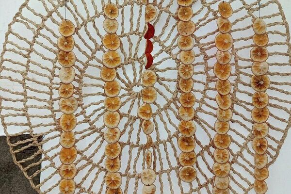 مهرجان القوارص بتونس.. مساحة جماعية للفرح والاحتفاء بالموروث الزراعي - سبوتنيك عربي