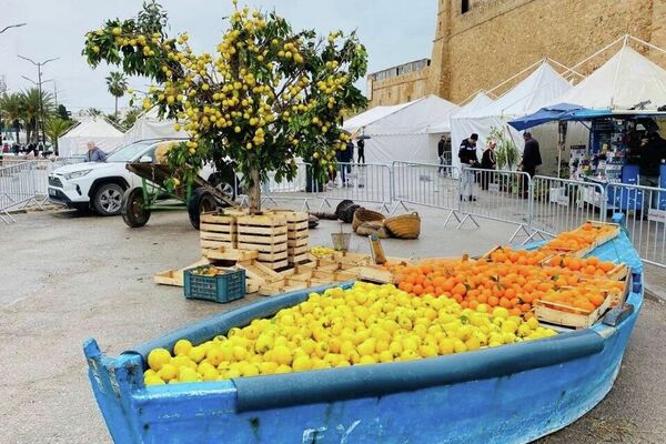 مهرجان القوارص بتونس.. مساحة جماعية للفرح والاحتفاء بالموروث الزراعي - سبوتنيك عربي