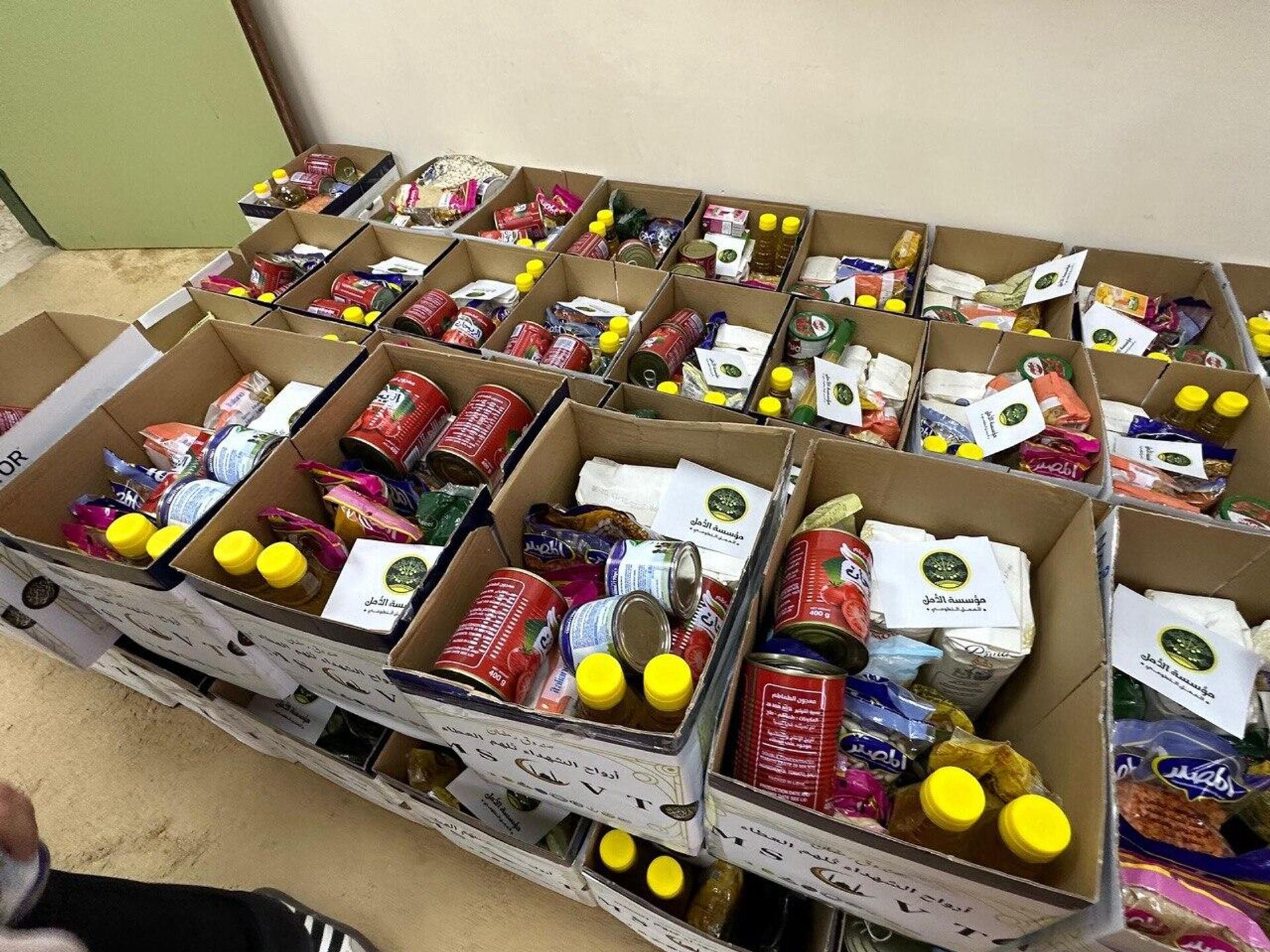 طلاب الطب بجامعة بنغازي يطلقون مبادرة سلات رمضان لدعم الأسر المحتاجة - سبوتنيك عربي, 1920, 08.02.2026