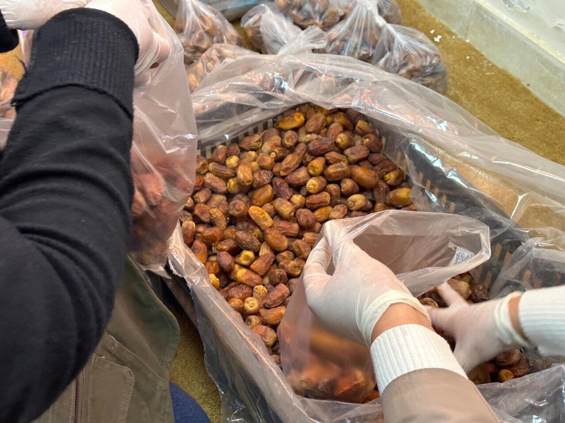 طلاب الطب بجامعة بنغازي يطلقون مبادرة سلات رمضان لدعم الأسر المحتاجة - سبوتنيك عربي, 1920, 08.02.2026