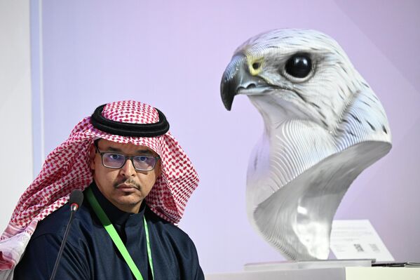 صورة لمحمود الشيخ، مدير تطوير الأعمال في الهيئة الملكية للجبيل وينبع (المملكة العربية السعودية)، في جلسة الخبراء بعنوان "التحالف الاستراتيجي": الشراكة والاستثمار بين روسيا والمملكة العربية السعودية، في معرض "إينوبروم الدولي للصناعات"، في الرياض. - سبوتنيك عربي