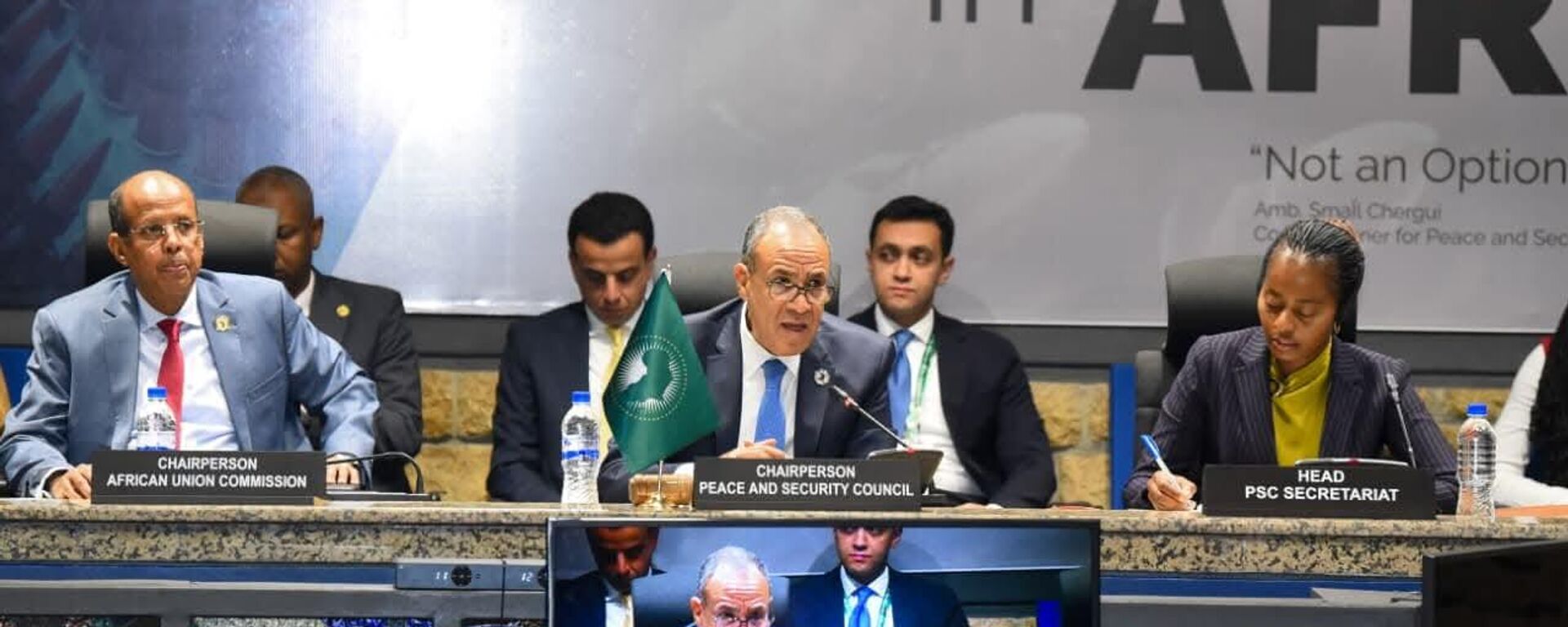 وزير الخارجية المصري بدر عبد العاطي يترأس جلسة المشاورات غير الرسمية لمجلس السلم والأمن الأفريقي حول تطورات الأوضاع في السودان  - سبوتنيك عربي, 1920, 12.02.2026