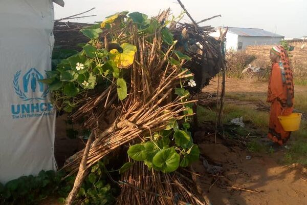 لقطات مصورة توضح الحياة المعيشية القاسية التي يمر بها اللاجئون السودانيون في معسكرات شرق تشاد.في ظل انعدام كامل لأبسط مقومات الحياة علاوة على التهديدات الأمنية القبلية - سبوتنيك عربي