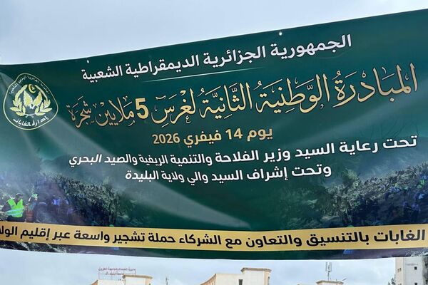 خمسة ملايين شجرة في يوم واحد… الجزائر تطلق أكبر حملة تشجير في تاريخها خمسة ملايين شجرة في يوم واحد… الجزائر تطلق أكبر حملة تشجير في تاريخها - سبوتنيك عربي