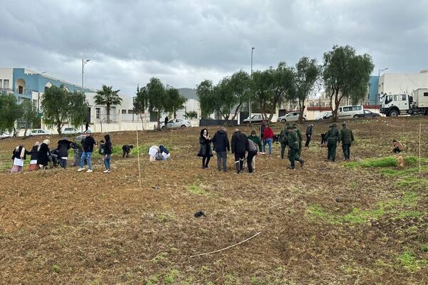 خمسة ملايين شجرة في يوم واحد… الجزائر تطلق أكبر حملة تشجير في تاريخها خمسة ملايين شجرة في يوم واحد… الجزائر تطلق أكبر حملة تشجير في تاريخها - سبوتنيك عربي