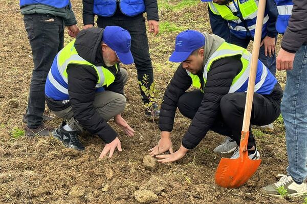خمسة ملايين شجرة في يوم واحد… الجزائر تطلق أكبر حملة تشجير في تاريخها خمسة ملايين شجرة في يوم واحد… الجزائر تطلق أكبر حملة تشجير في تاريخها - سبوتنيك عربي