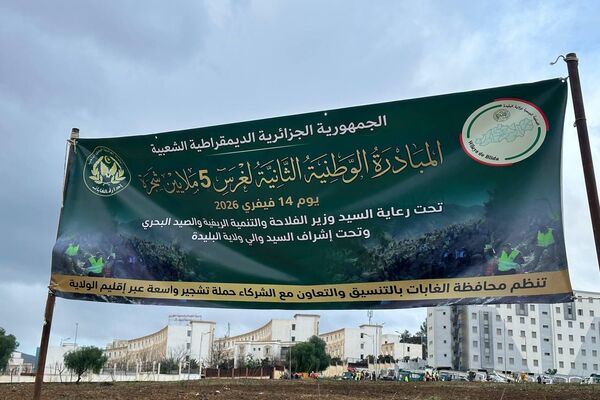 خمسة ملايين شجرة في يوم واحد… الجزائر تطلق أكبر حملة تشجير في تاريخها خمسة ملايين شجرة في يوم واحد… الجزائر تطلق أكبر حملة تشجير في تاريخها - سبوتنيك عربي