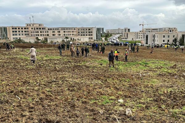 خمسة ملايين شجرة في يوم واحد… الجزائر تطلق أكبر حملة تشجير في تاريخها خمسة ملايين شجرة في يوم واحد… الجزائر تطلق أكبر حملة تشجير في تاريخها - سبوتنيك عربي