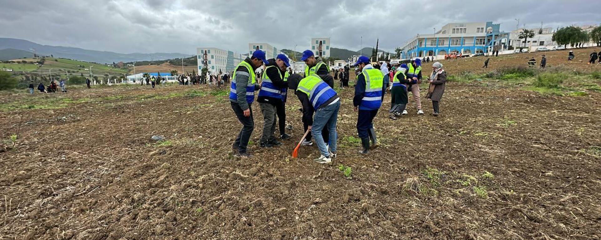 خمسة ملايين شجرة في يوم واحد… الجزائر تطلق أكبر حملة تشجير في تاريخها - سبوتنيك عربي, 1920, 14.02.2026