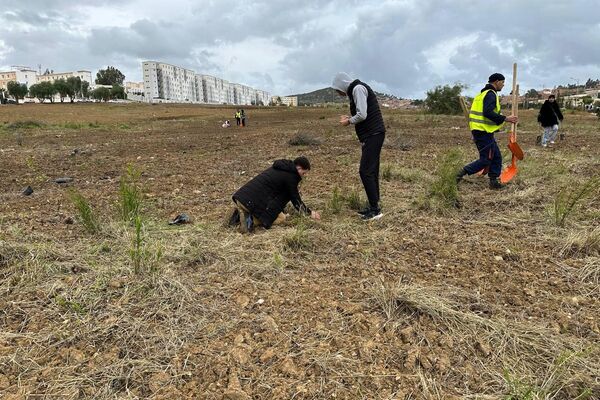 خمسة ملايين شجرة في يوم واحد… الجزائر تطلق أكبر حملة تشجير في تاريخها خمسة ملايين شجرة في يوم واحد… الجزائر تطلق أكبر حملة تشجير في تاريخها - سبوتنيك عربي