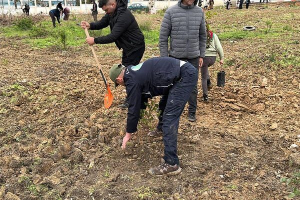 خمسة ملايين شجرة في يوم واحد… الجزائر تطلق أكبر حملة تشجير في تاريخها خمسة ملايين شجرة في يوم واحد… الجزائر تطلق أكبر حملة تشجير في تاريخها - سبوتنيك عربي