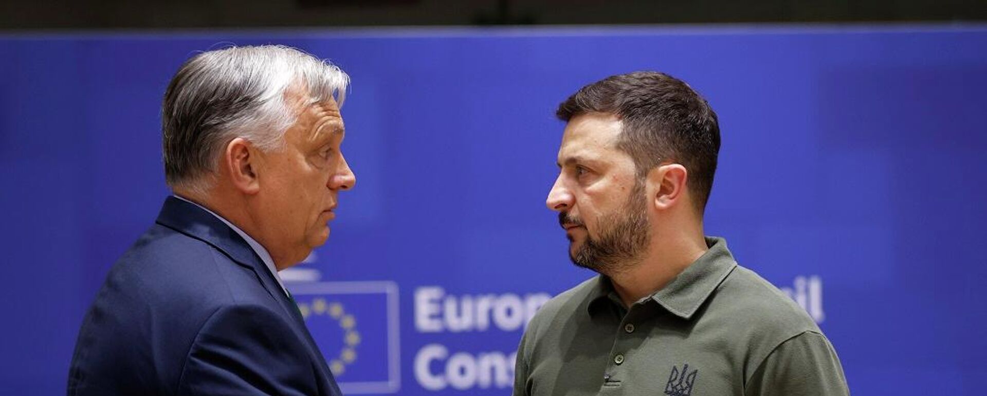 زيلينسكي ورئيس الوزراء المجري، فيكتور أوربان - سبوتنيك عربي, 1920, 15.02.2026