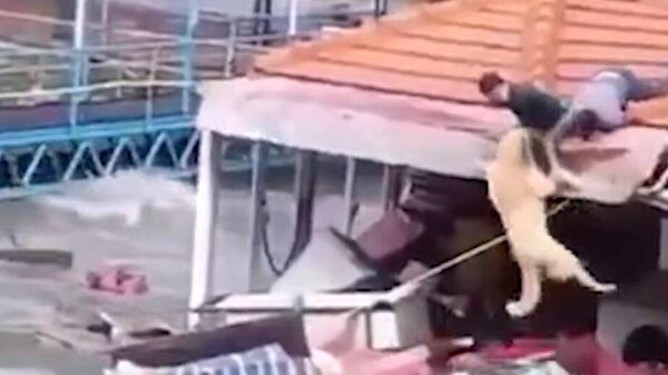  - سبوتنيك عربي