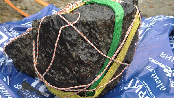 شظية نيزكية مرفوعة من بحيرة تشيباركول - سبوتنيك عربي