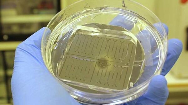 علماء روس يطورون جهازا فريدا لتشخيص الشيخوخة المبكرة والأمراض المزمنة - سبوتنيك عربي