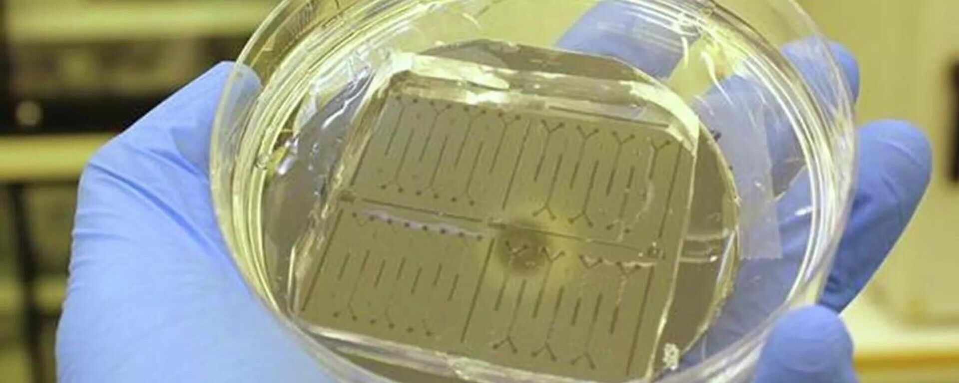 علماء روس يطورون جهازا فريدا لتشخيص الشيخوخة المبكرة والأمراض المزمنة - سبوتنيك عربي, 1920, 17.02.2026