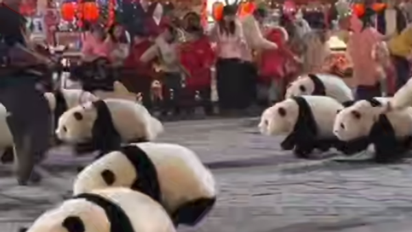 قطيع من الباندا يجوب شوارع الصين احتفالا برأس السنة الجديدة - سبوتنيك عربي