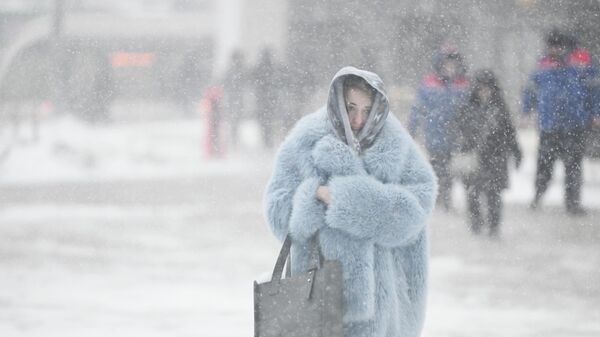 Снегопад в Москве  - سبوتنيك عربي