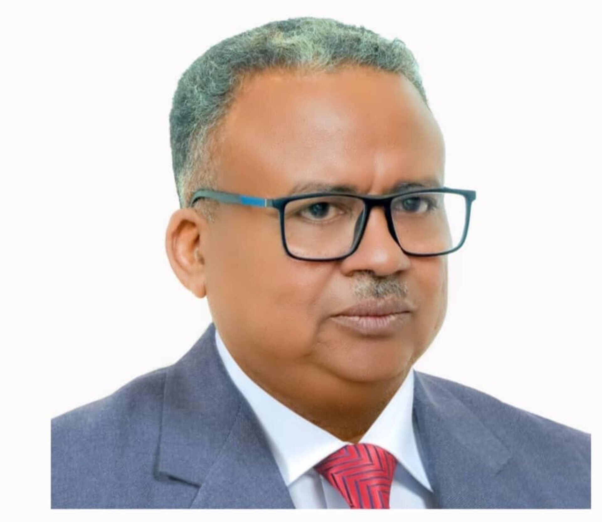 عاصم البلال الطيب، رئيس لجنة الإعلام والمتحدث باسم مبادرة لجنة الأمل للعودة الطوعية للاجئين السودانيين من مصر ودول الجوار - سبوتنيك عربي, 1920, 19.02.2026