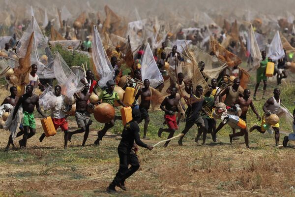 صيادون يتسابقون نحو نهر "ماتان فادا"، في محاولة لاصطياد أكبر سمكة خلال اليوم الختامي لمهرجان "أرجونغو الدولي للصيد" في أرجونغو، نيجيريا - سبوتنيك عربي