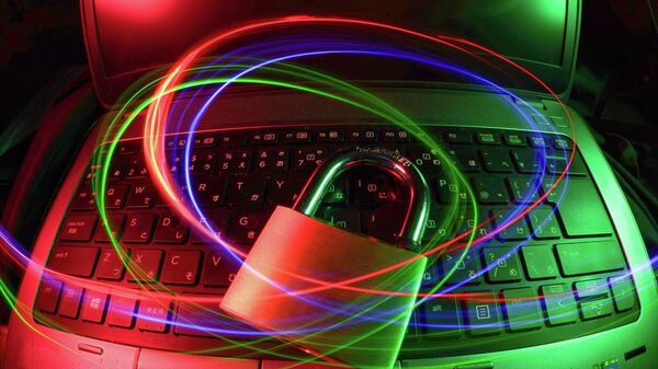 الأمن السيبراني - سبوتنيك عربي