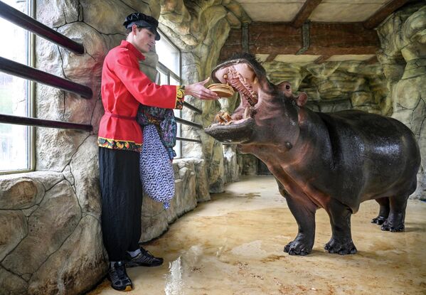 من احتفالات "ماسلينيتسا" في حديقة "باختشيساراي" في جزيرة القرم الروسية. - سبوتنيك عربي