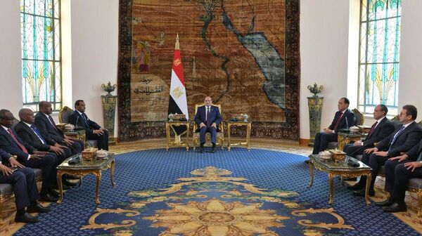 الرئيس المصري عبد الفتاح السيسي يستقبل رئيس وزراء السودان كامل إدريس - سبوتنيك عربي