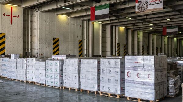 وصول سفينة أم الإمارات بـ 7300 طن مساعدات إنسانية إلى ميناء العريش لدعم غزة - سبوتنيك عربي