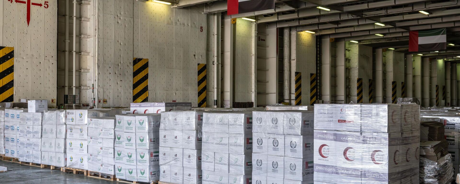 وصول سفينة أم الإمارات بـ 7300 طن مساعدات إنسانية إلى ميناء العريش لدعم غزة - سبوتنيك عربي, 1920, 27.02.2026