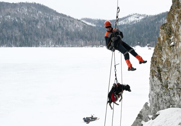 صورة تظهر يوليا بوريسوفا، عضو فريق البحث والإنقاذ "سباساتيل" في كراسنويارسك، ومعها كلب مدرب خلال جلسة تدريبية على صخرة تسارسكي فوروتا في إقليم كراسنويارسك، وإلى جانب الرجال، تعمل 3 منقذات فتيات في فريق البحث والإنقاذ في كراسنويارسك - سبوتنيك عربي