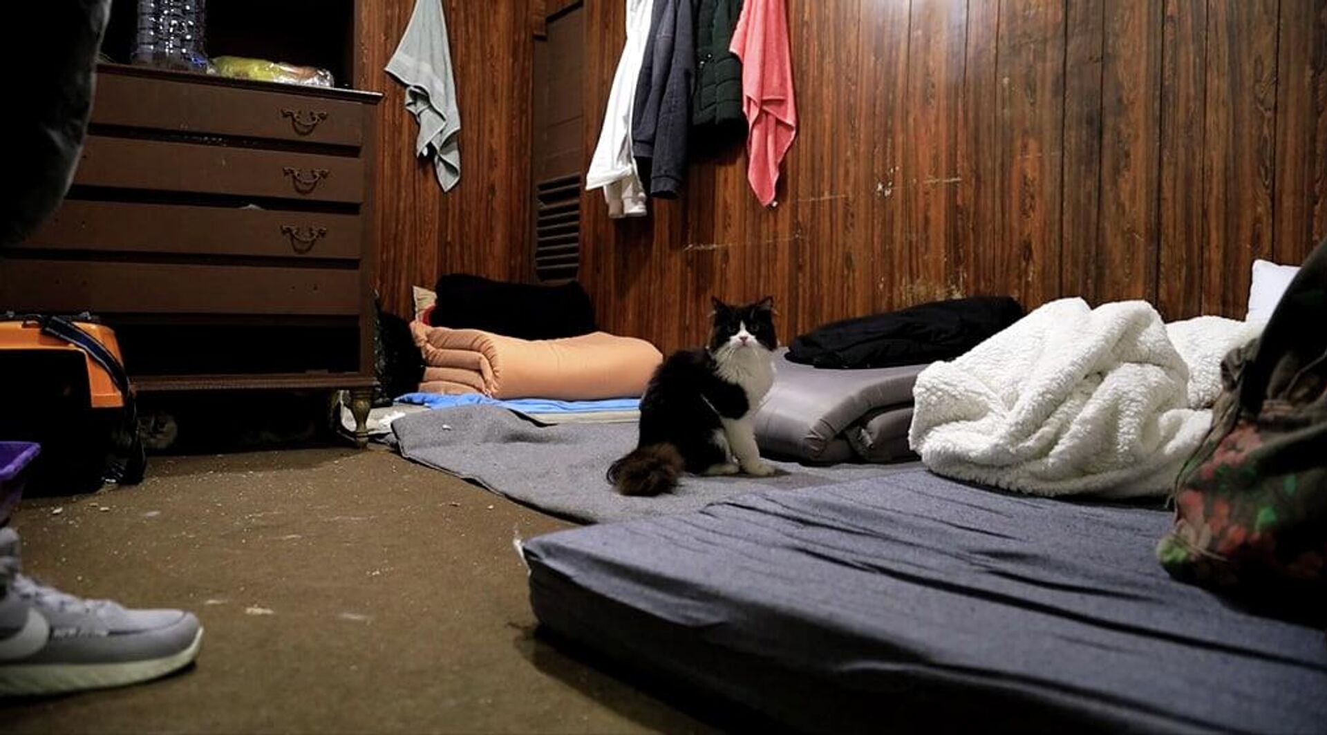 حين يتحول المسرح إلى بيت... حكايات نزوح داخل الكوليزيه في بيروت - سبوتنيك عربي, 1920, 11.03.2026