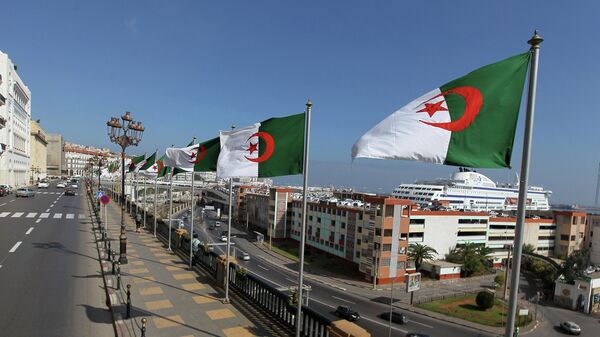  شارع الشهداء في العاصمة الجزائرية - سبوتنيك عربي