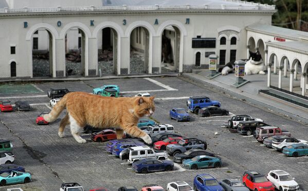 قطة تمشي بين سيارات ألعاب في حديقة حيوانات مصغّرة في باختشيساراي، شبه جزيرة القرم. - سبوتنيك عربي