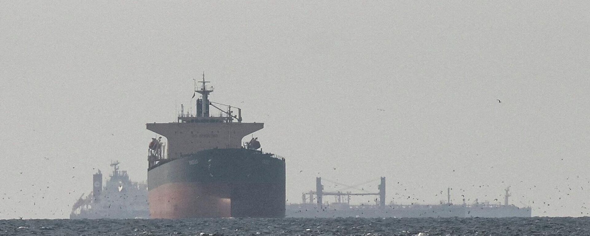 ناقلات النفط تبحر في الخليج العربي، بالقرب من مضيق هرمز، كما يُرى من شمال رأس الخيمة، قرب الحدود مع محافظة مسندم العمانية، وسط الصراع الأمريكي الإسرائيلي مع إيران، 11 مارس/ آذار 2026 - سبوتنيك عربي, 1920, 15.03.2026