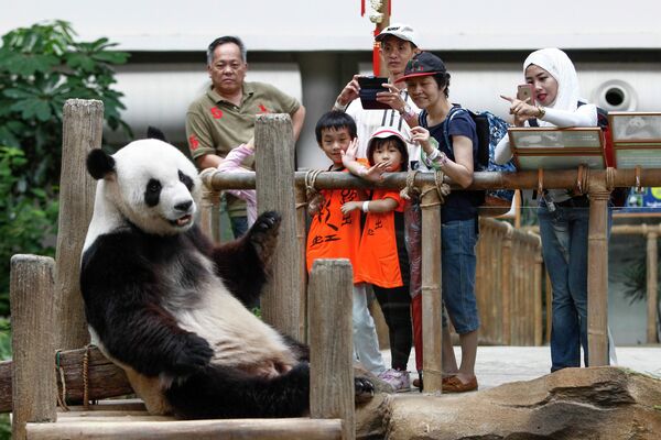 مجموعة من الأشخاص يلتقطون الصور التذكارية مع باندا ضخم، في مركز حماية الباندا العملاقة داخل حديقة الحيوان الوطنية في كوالالمبور - سبوتنيك عربي