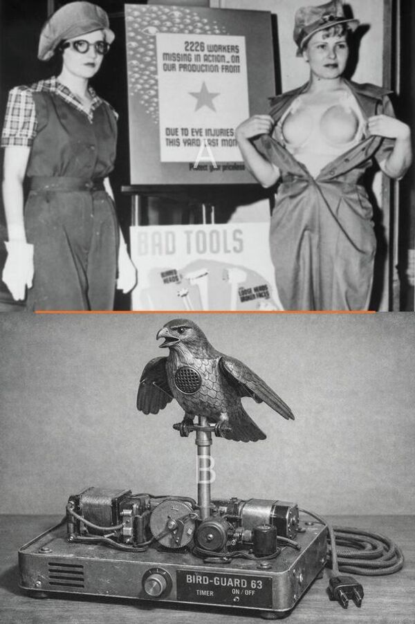 اختبار الذكاء الاصطناعي: "حمالة صدر واقية أو طارد للطيور"، حيث تظهر الصورة في نصفها الأعلى سيدة ترتدي حمالة صدر واقية للنساء العاملات، بينما تظهر الصورة في نصفها الأسفل طارد للغراب. - سبوتنيك عربي