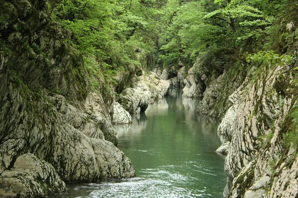  مشهد ساحر لأشجار الطقسوس والبقس دائمة الخضرة، التي تحيط بمنبع نهر خوستا، في روسيا. - سبوتنيك عربي