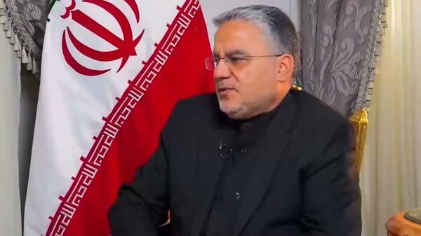 السفير مجتبى فردوسي، رئيس مكتب رعاية المصالح الإيرانية في القاهرة - سبوتنيك عربي